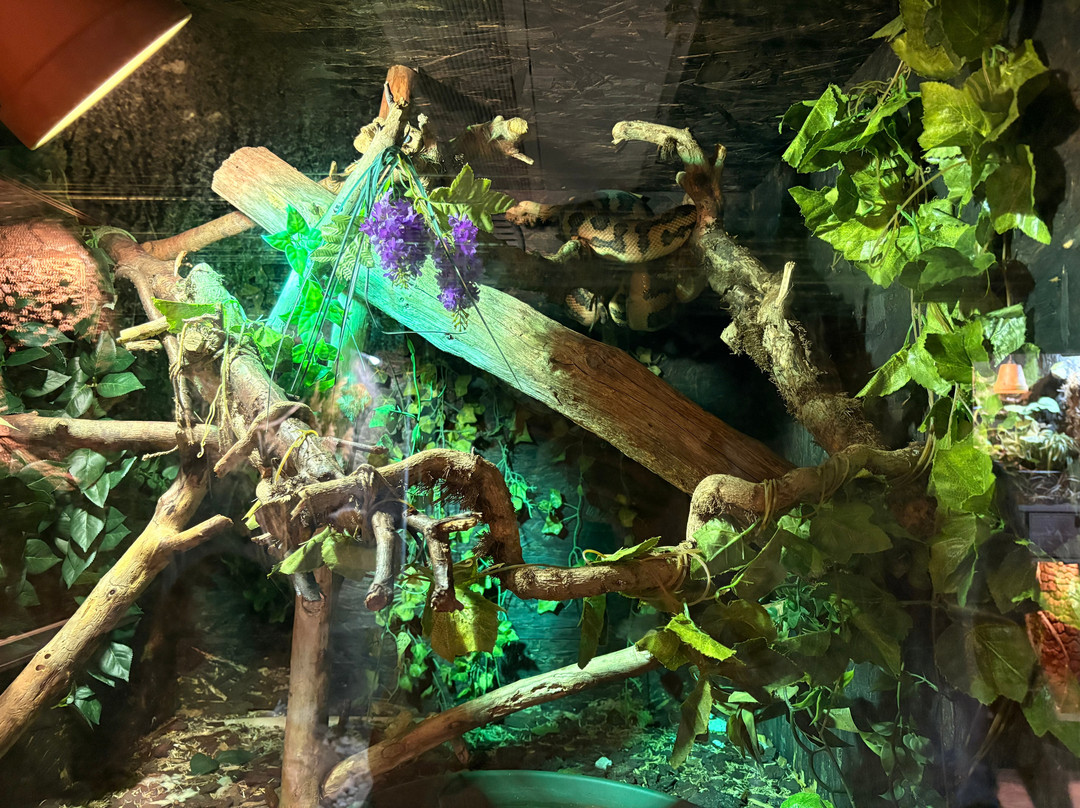 Aquarium Terrarium-克尔克必去景点