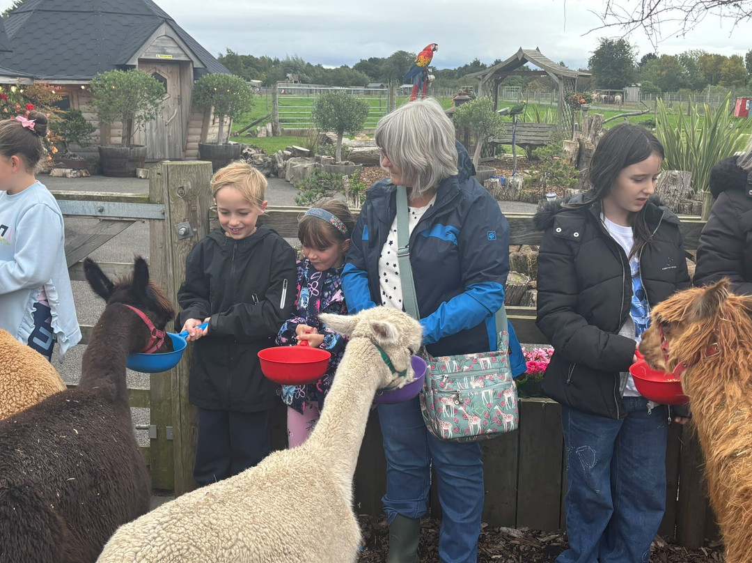 Nanny Sharon's Alpaca Farm C.I.C-Prenton必去景点