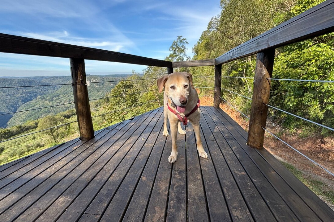 Parque Olivas de Gramado-格拉玛多必去景点