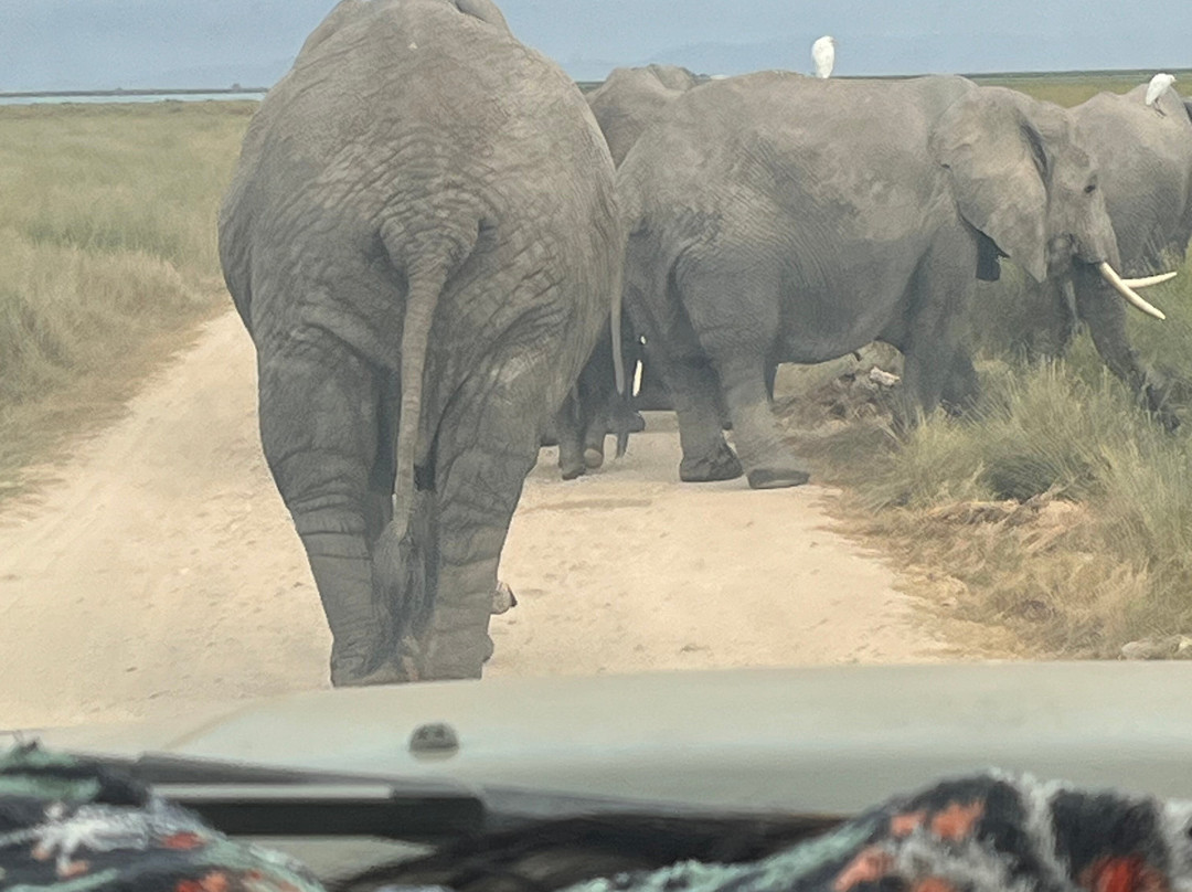 Brighte Maasai Adventures-Mara North Conservancy必去景点