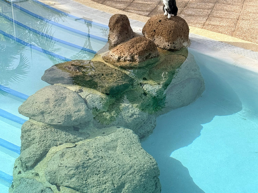 巴伊亚德尔杜克住宿主图