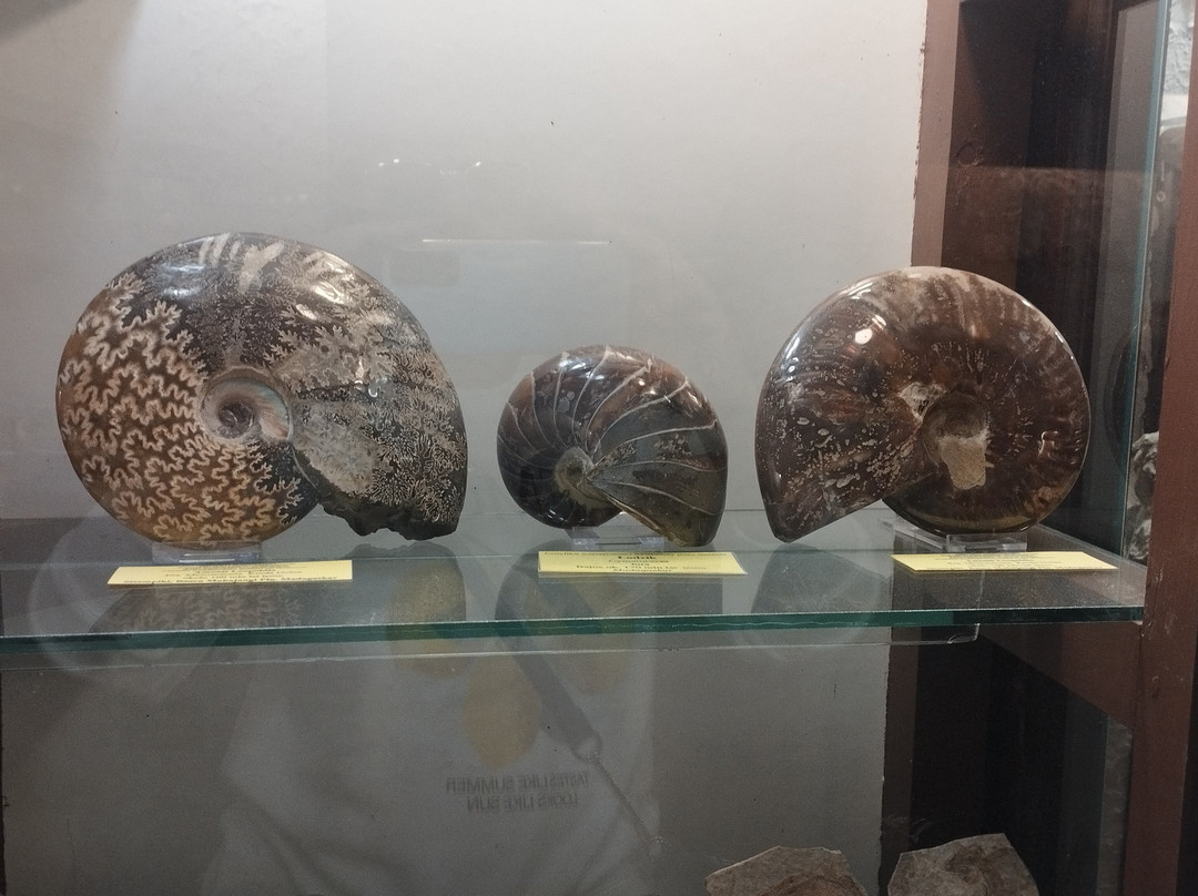 Mineralogical Museum-斯克拉斯卡波伦巴必去景点