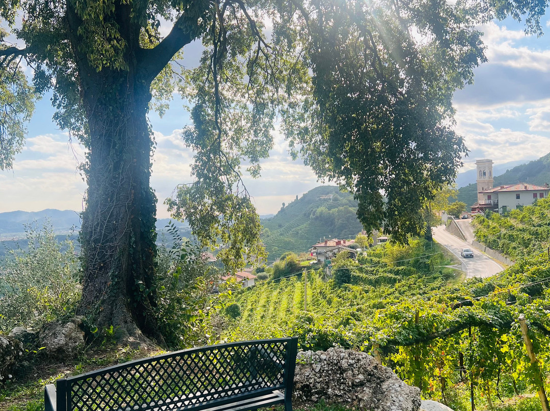 Azienda Agricola Bortolin Alessandro-Santo Stefano必去景点