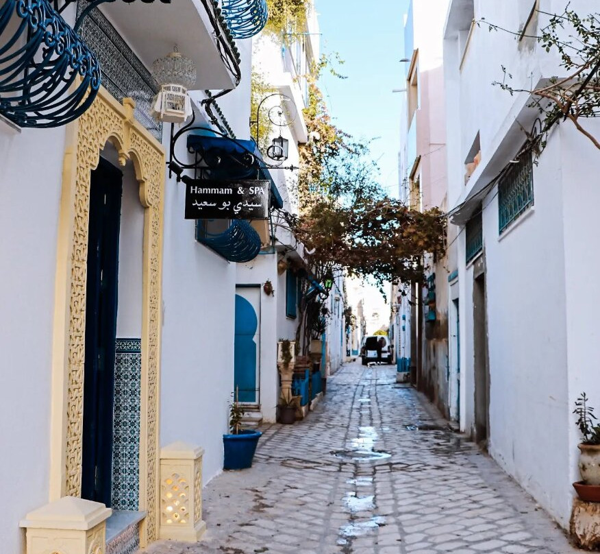 Easy Tunisia Transfer-突尼斯必去景点