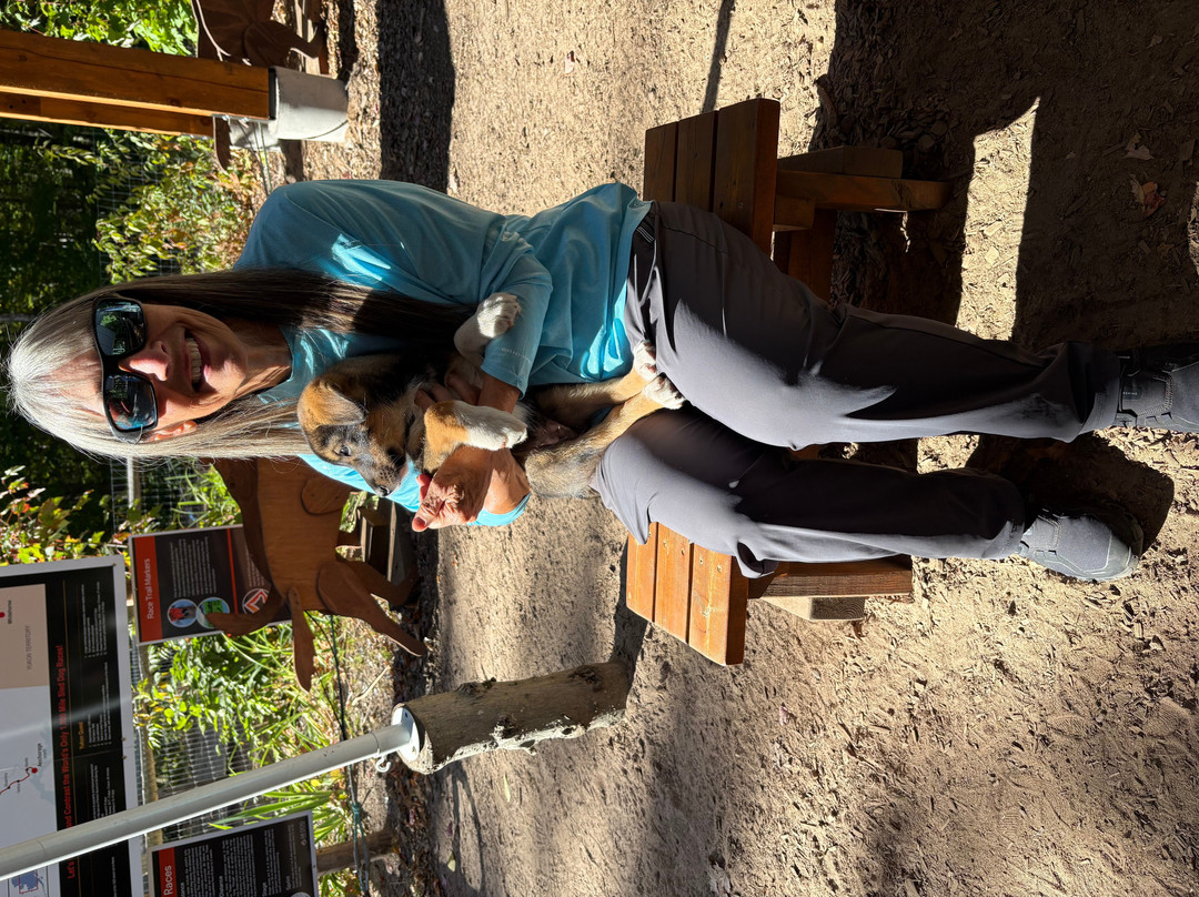 MIDOG - Michigan's Summer Sled Dog Center