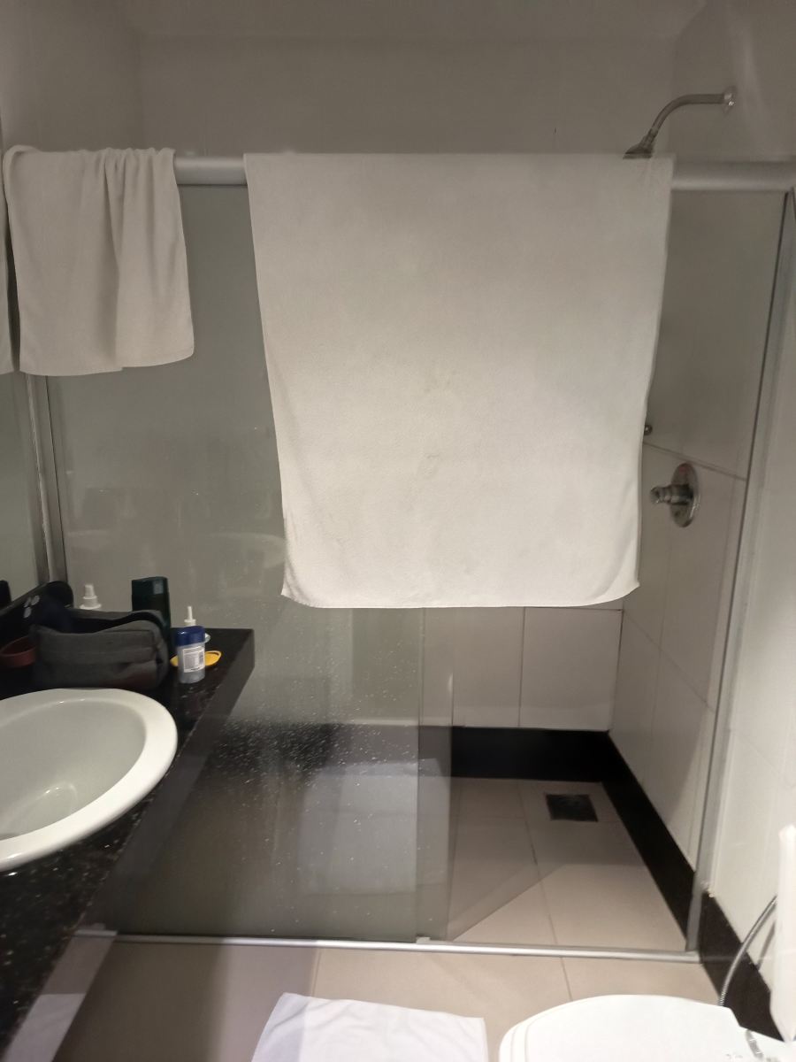 圣地亚哥套房酒店 - 瓦拉达里斯州长市-旅行者