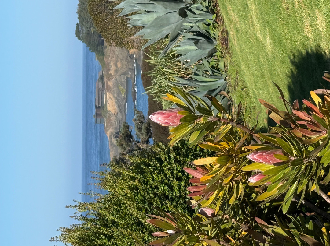 Vajra Sol Yoga Retreats-圣特雷莎必去景点