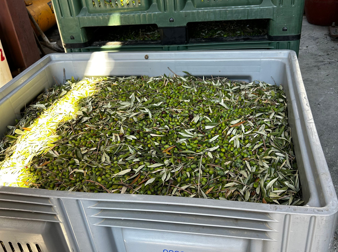 Protoulis Olive Mill & Museum-Plomari必去景点