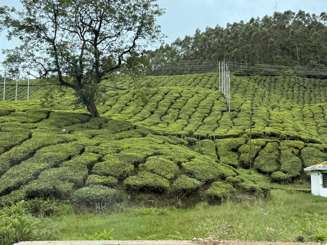 BOUT INDIA TOURS-斋蒲尔必去景点