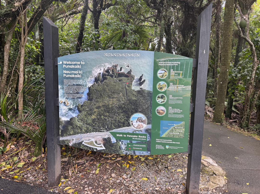 薄饼岩&喷水孔之旅-普纳凯基必去景点