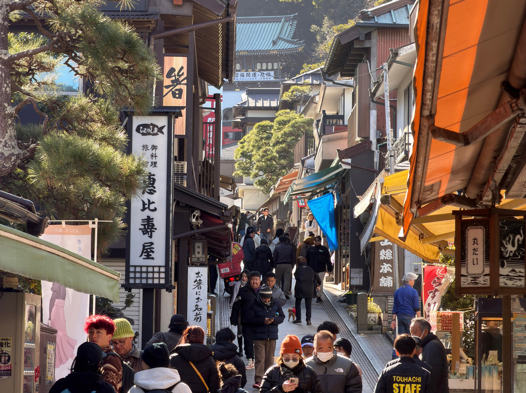 江之岛-藤泽市必去景点