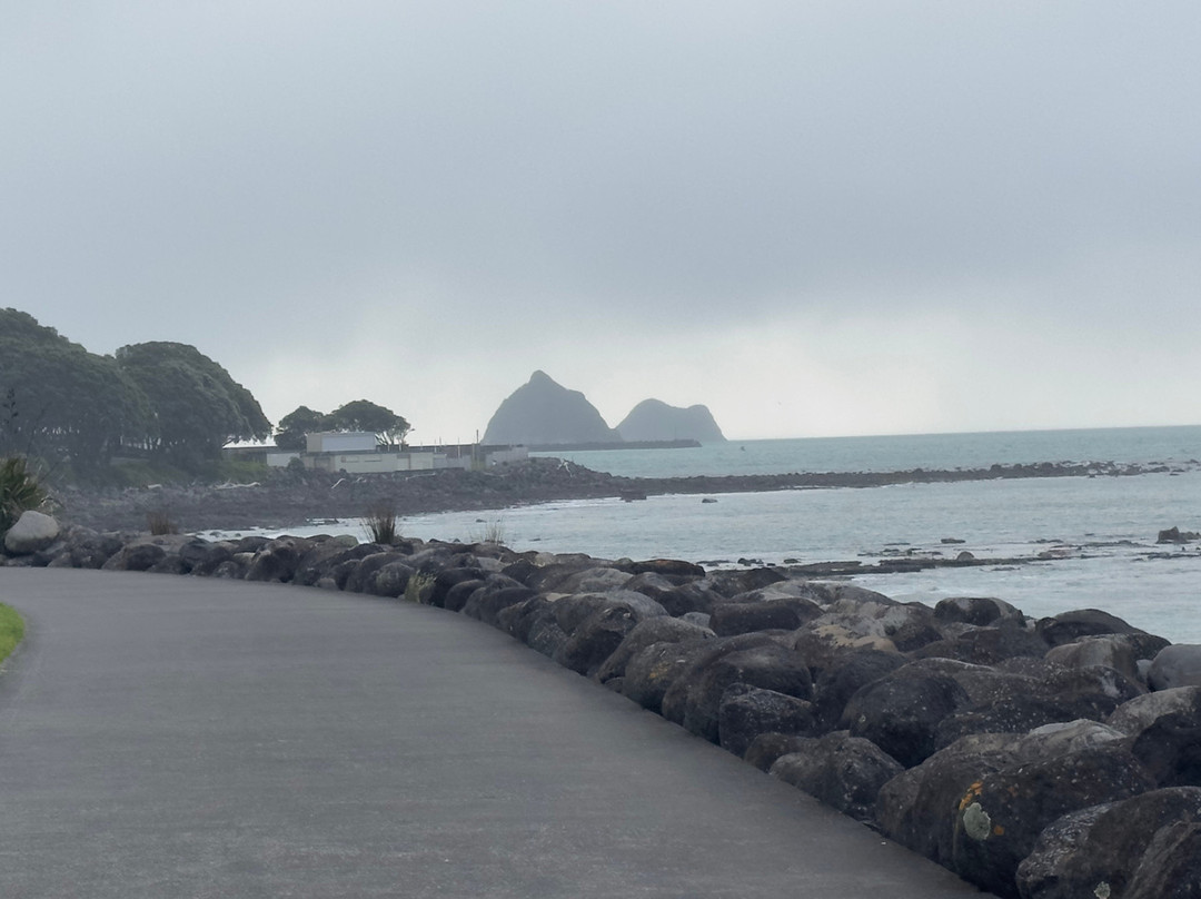 New Plymouth Coastal Walkway-新普利默斯必去景点