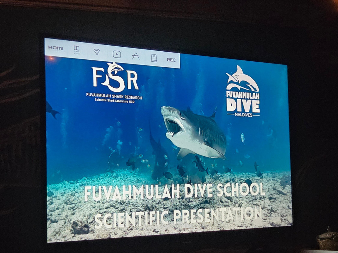Fuvahmulah Dive School-Fuvahmulah必去景点