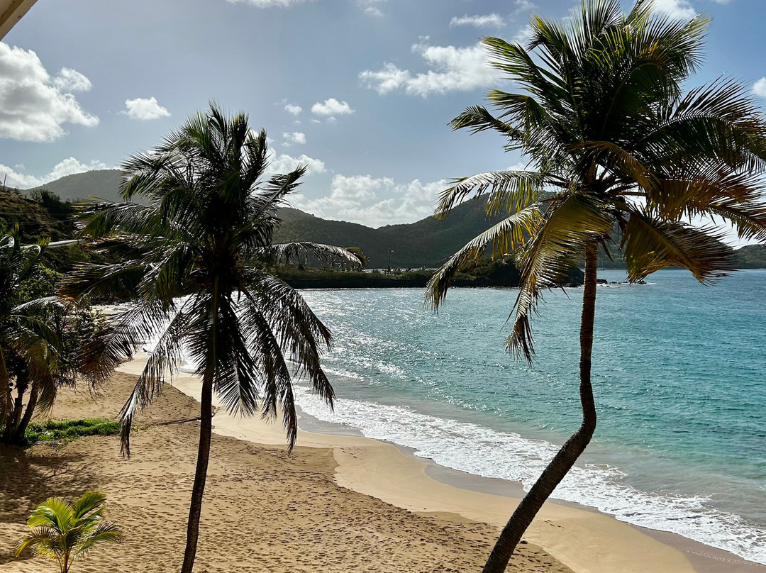 Curtain Bluff Resort主图
