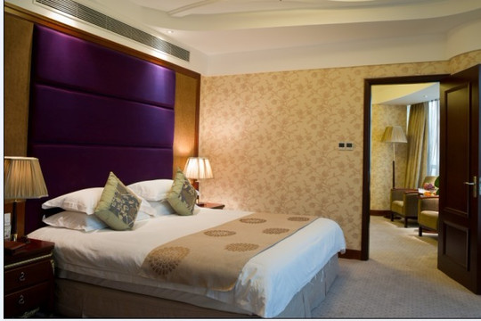 温州新国贸大酒店（鹿城区车站大道店）主图