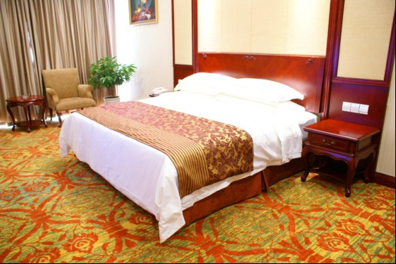 维也纳国际酒店主图