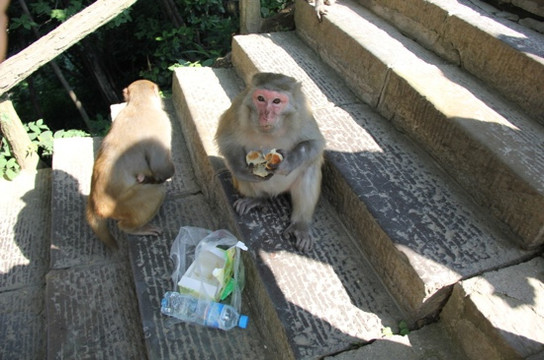 都江堰上境灵岩森林酒店主图