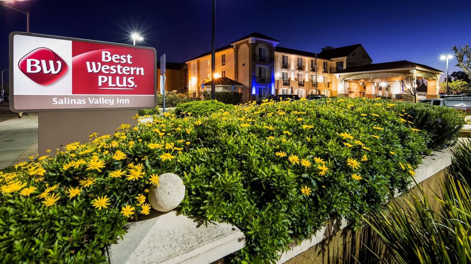Best Western Salinas Valley Inn & Suites-官方