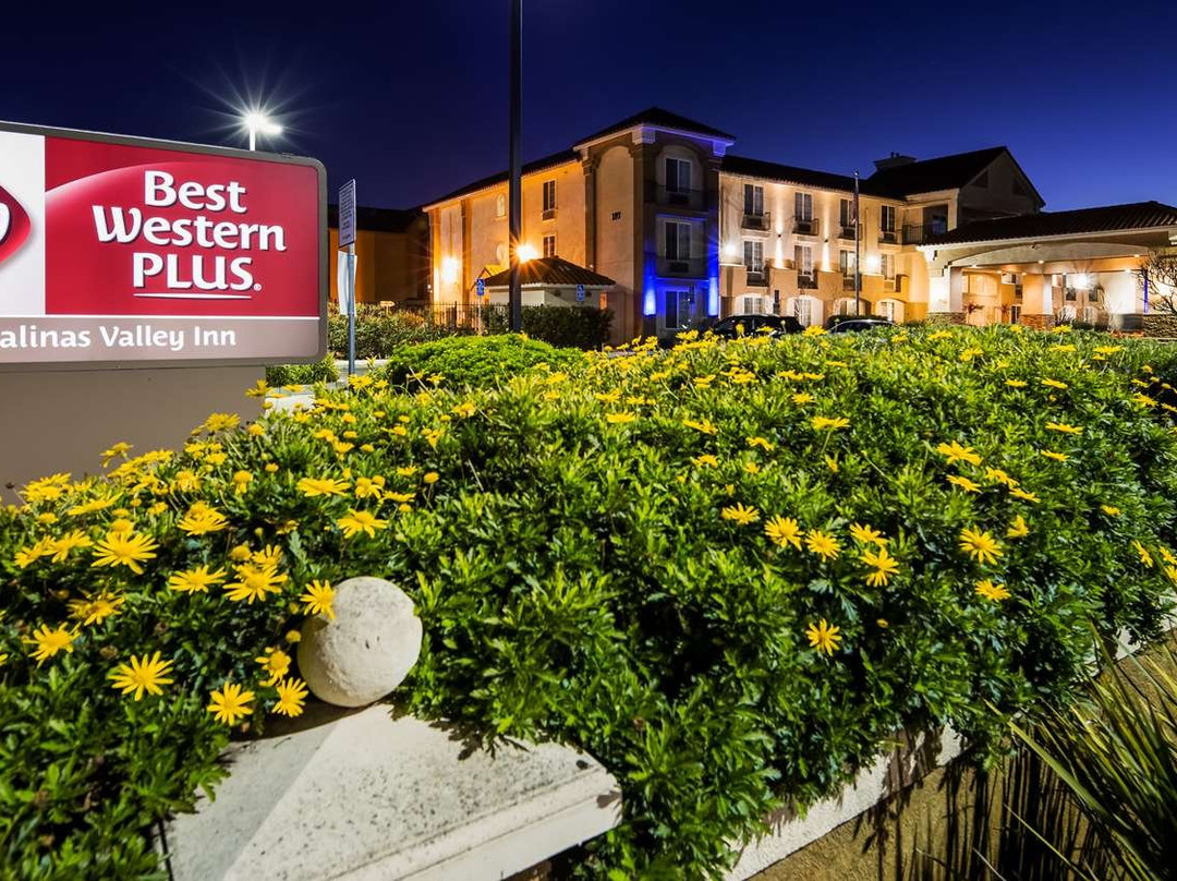 Best Western Salinas Valley Inn & Suites主图