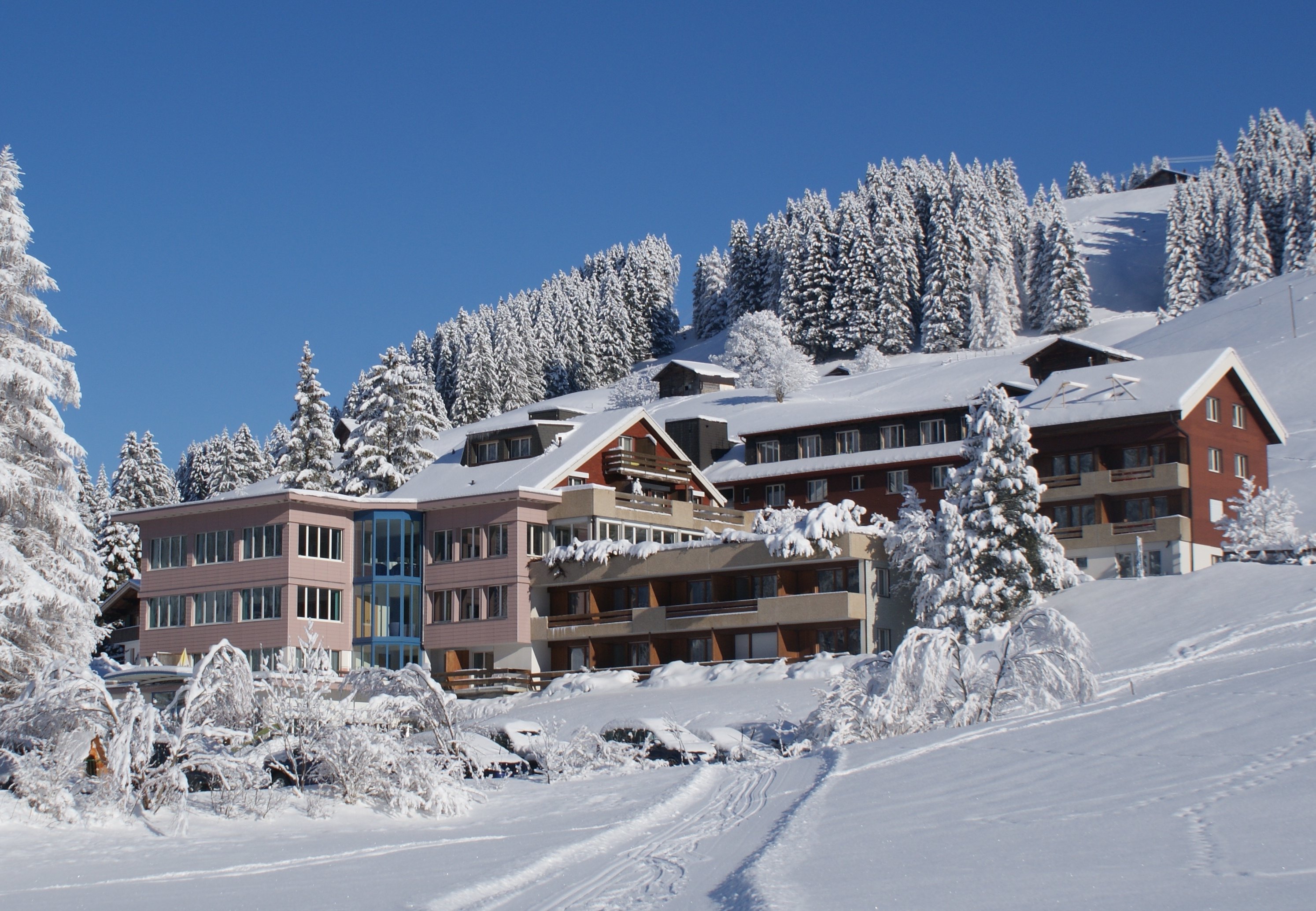 Ferien- und Familienhotel Alpina-官方