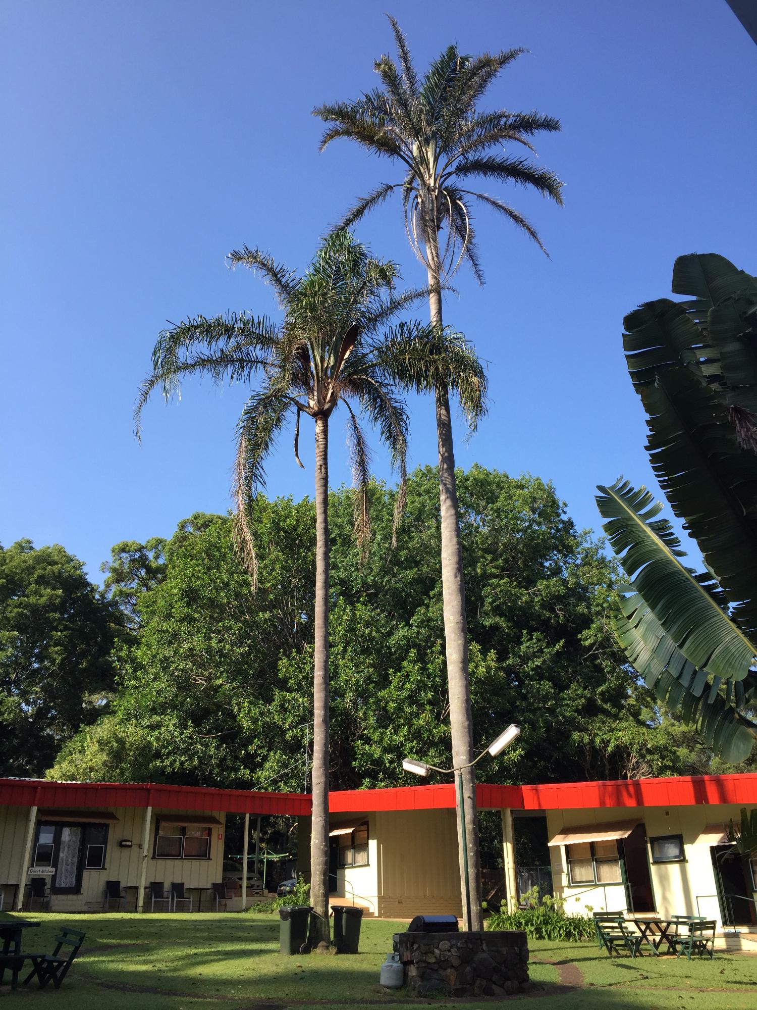 麦捷英尼斯汽车旅馆-浴室