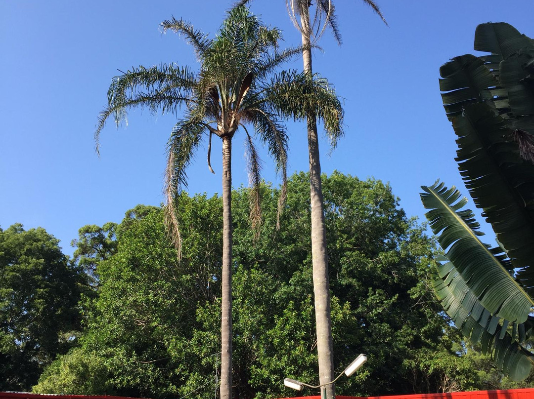 麦捷英尼斯汽车旅馆