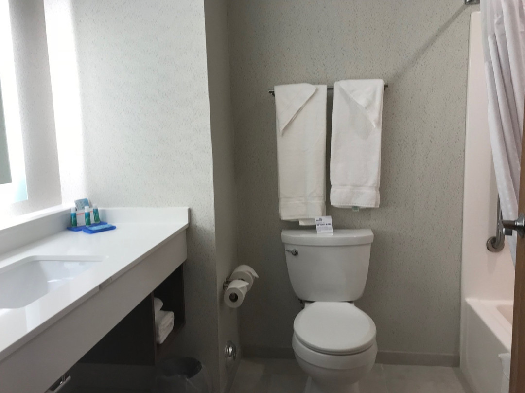 Victor酒店住宿-Holiday Inn Express & Suites Rochester-Victor by IHG