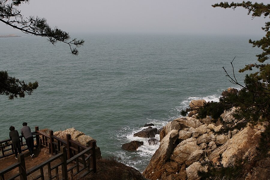 Seocheon Maryang-ri Camellia Forest