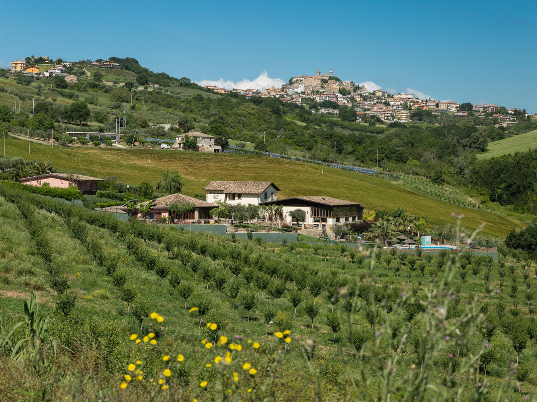Country House Il Cascinale主图