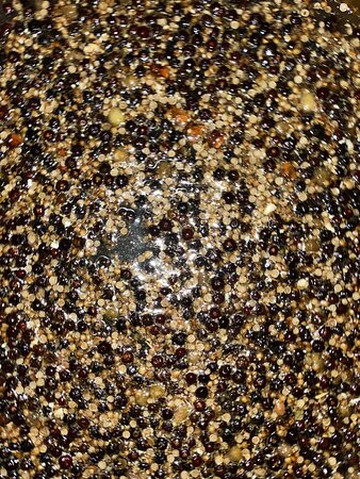 Willing Distillery-达尔文市必去景点