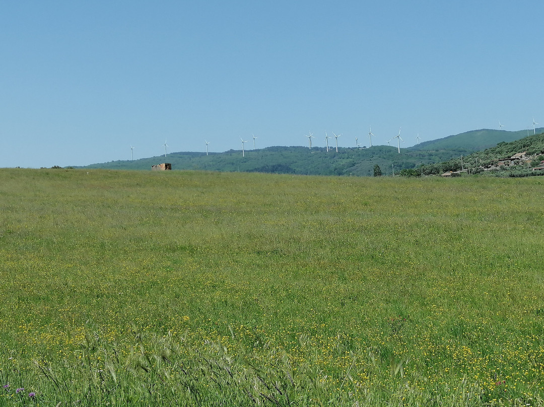 Ruderi Monastero di Sant'Elia