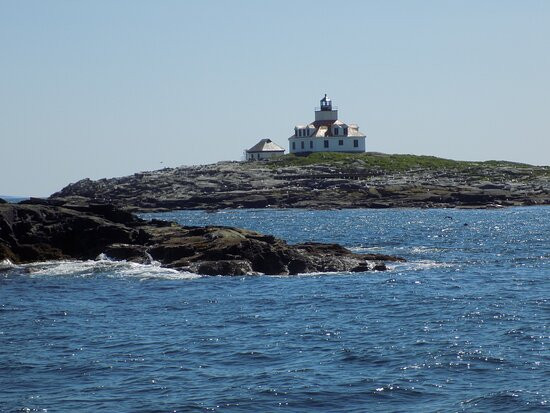 Acadian Boat Tours景点图片