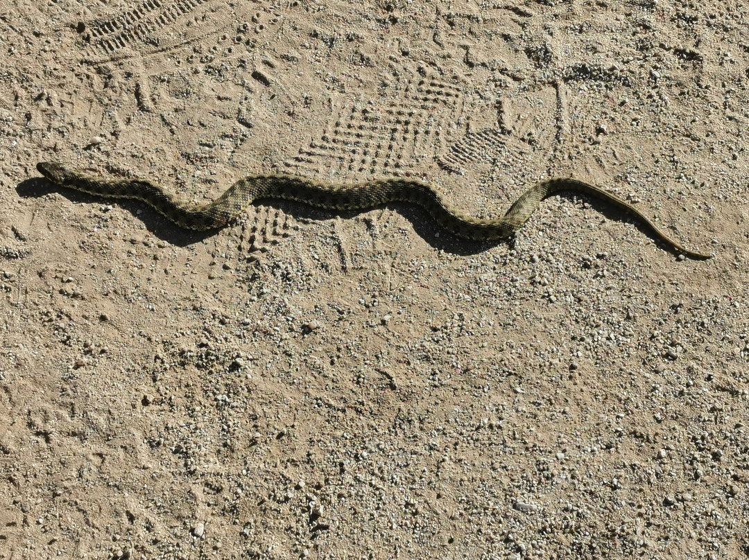 Mirador De La Calle Del Canal-Galapagar必去景点