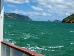 Waiuku Harbour Cruise-Waiuku必去景点
