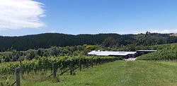 Flaxmore Vineyards景点图片
