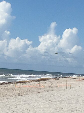 Colony Hotel and Cabana Club主图