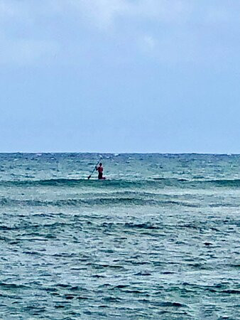 Go Nuts Hawaii-哈雷瓦必去景点