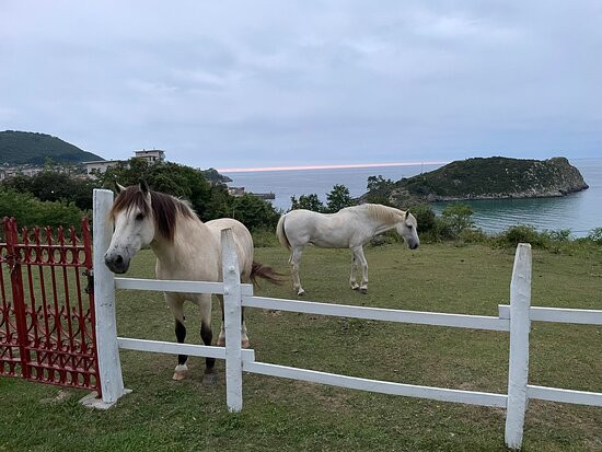 Hotel Villa Itsaso主图