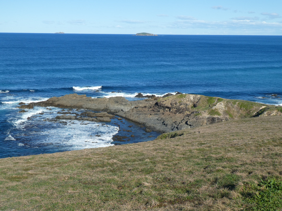 Woolgoolga Headland & Lookout景点图片