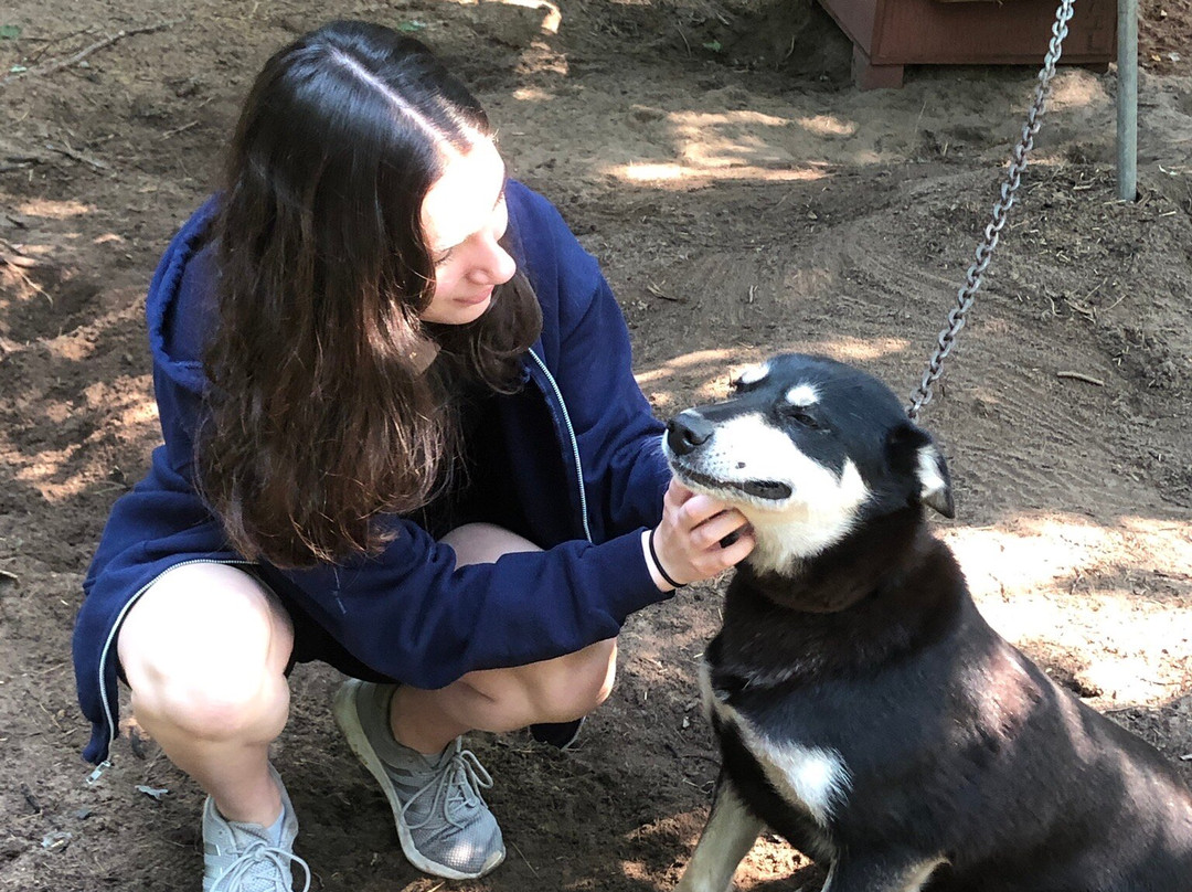 Husky Haven Kennels-Shingleton必去景点
