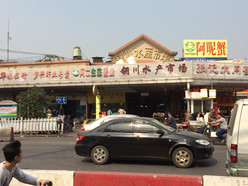 Gallery 1
