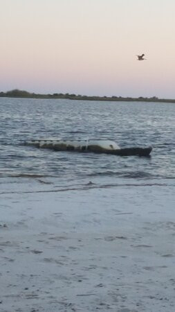 Biloxi Beach景点图片
