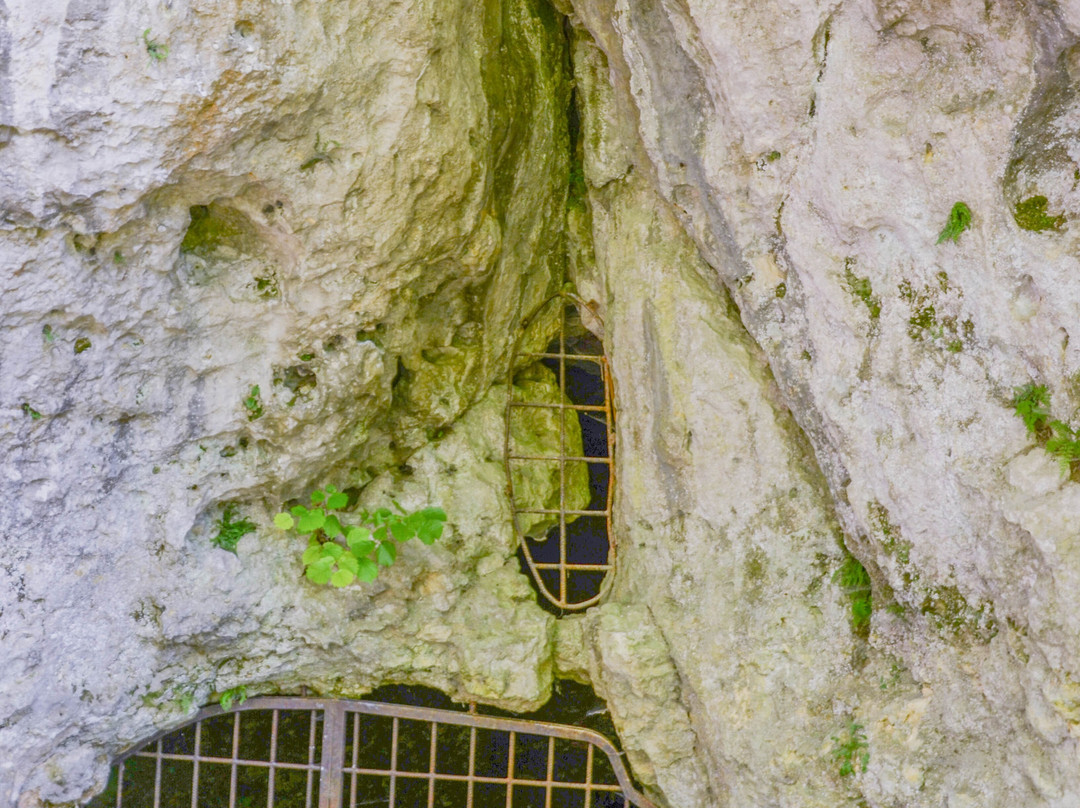Jaskinia na Biśniku景点图片