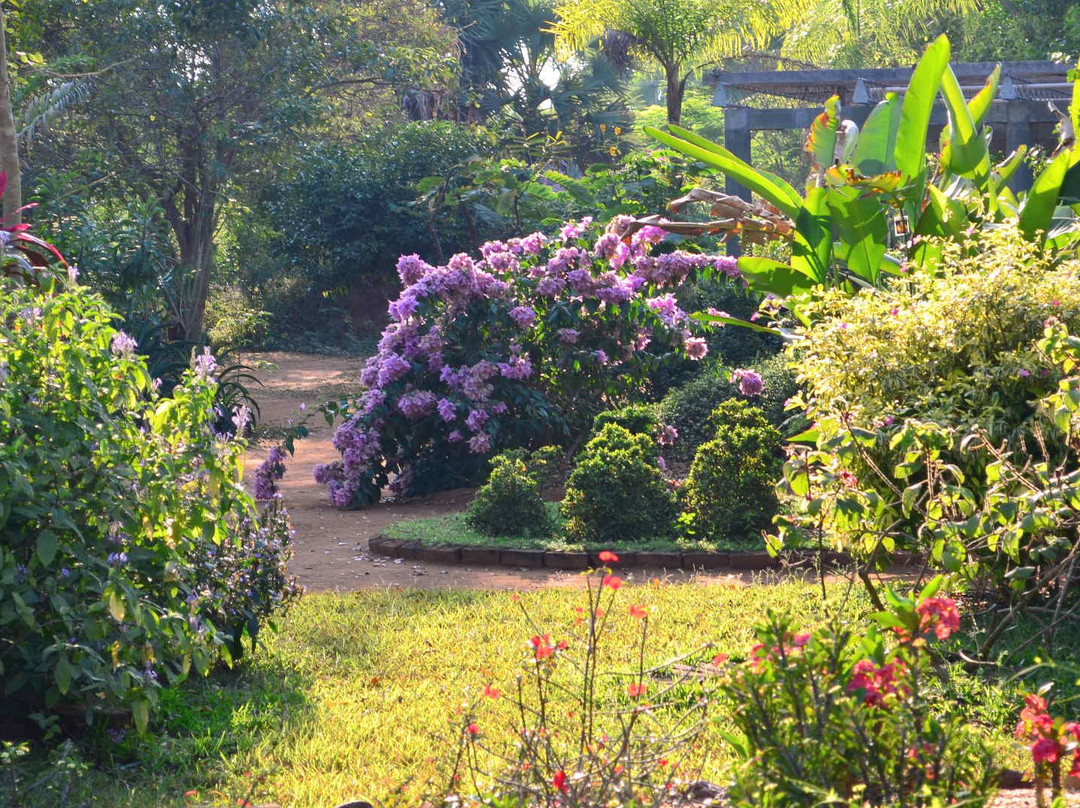Auroville Botanical Gardens景点图片