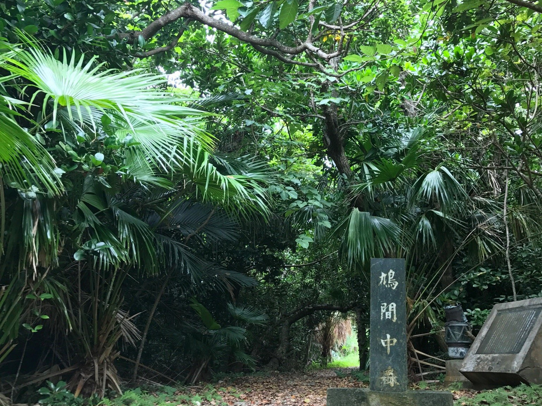 Hatomanakamori景点图片