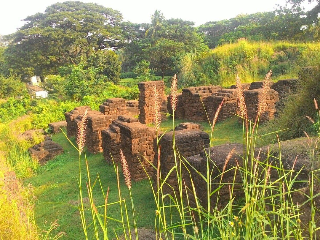 Barabati Fort景点图片