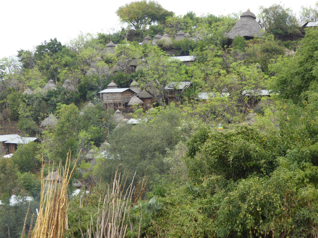 Konso Cultural Centre景点图片