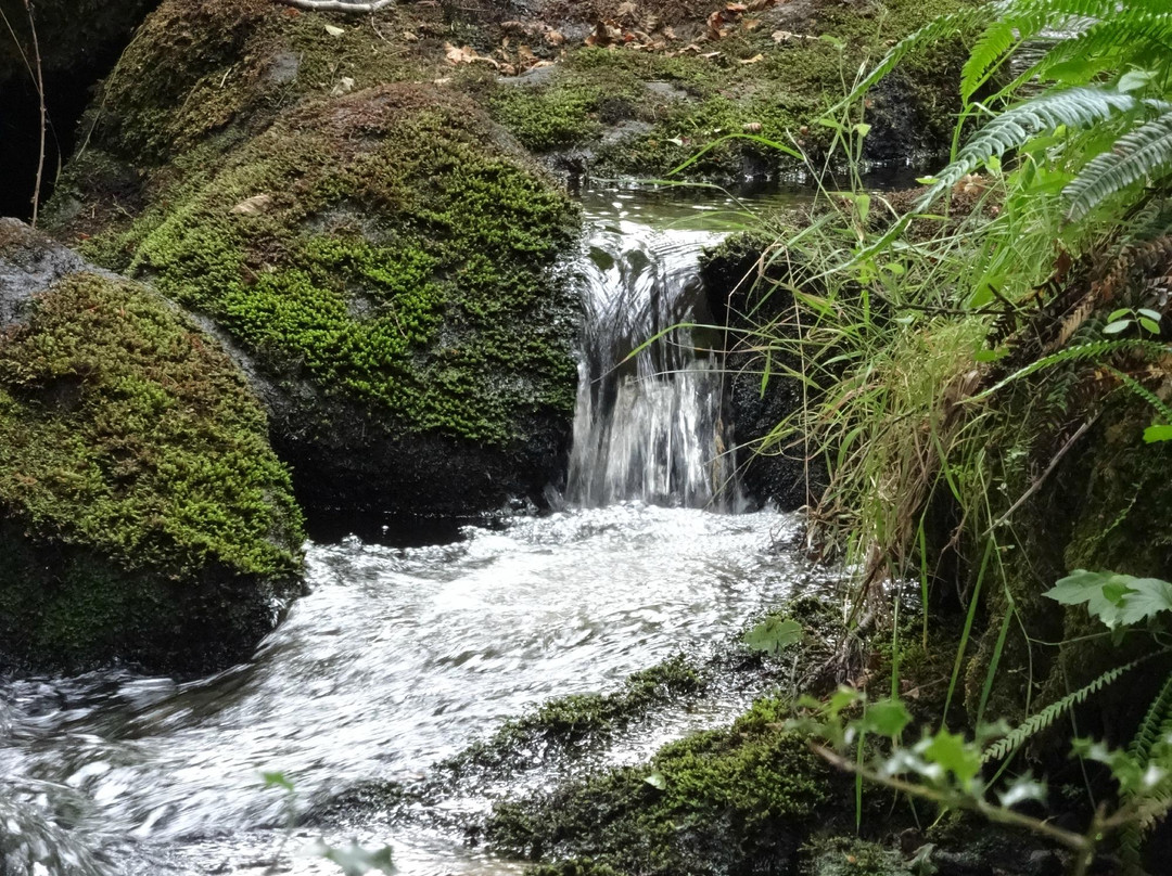 Royere-de-Vassiviere旅游攻略图片