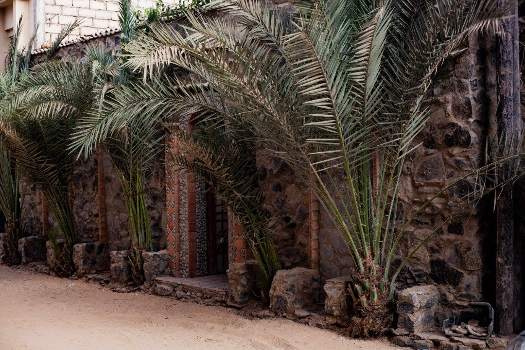 Bighorn No. 8旅游攻略图片