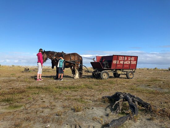 Golden Sands Horse and Wagon Tours景点图片
